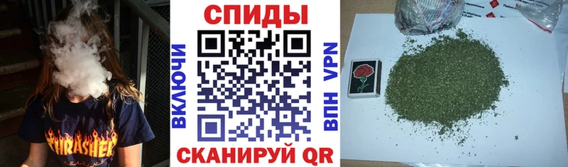 БУТИРАТ BDO  Купить закладки  Новозыбков 