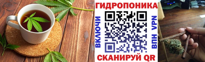 Купить закладки  Новозыбков  Canna-Cookies конопля 