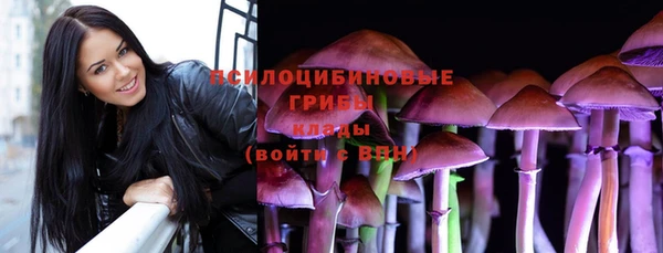 дмт Козельск
