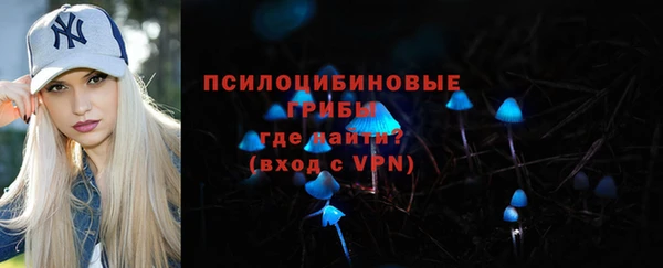 дмт Козельск