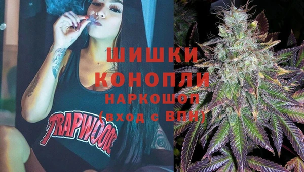 прущие крисы Козловка