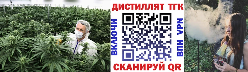 Купить  Новозыбков  ТГК концентрат 