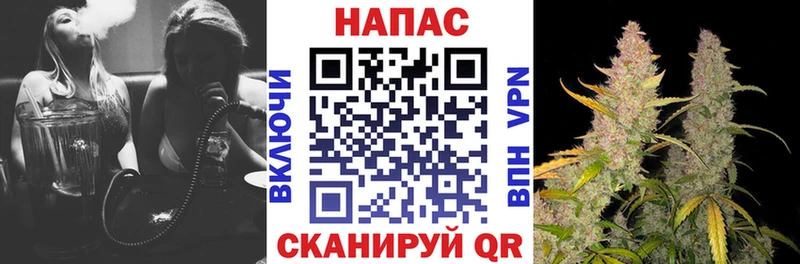 Бошки марихуана индика Купить Новозыбков